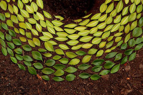 The Complete Guide to 2018 Artist Grants and Opportunities