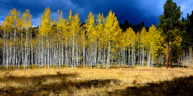 How Nature Can Make You a Better Artist