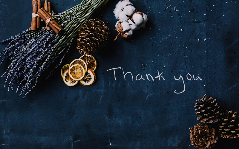 Why We Are Thankful for The Arts This Year