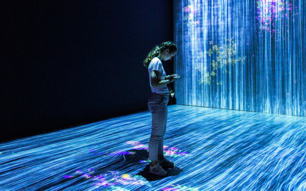 Ten Year Forecast for the State of the Arts