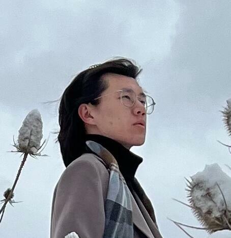 Zhaoqi Wang
