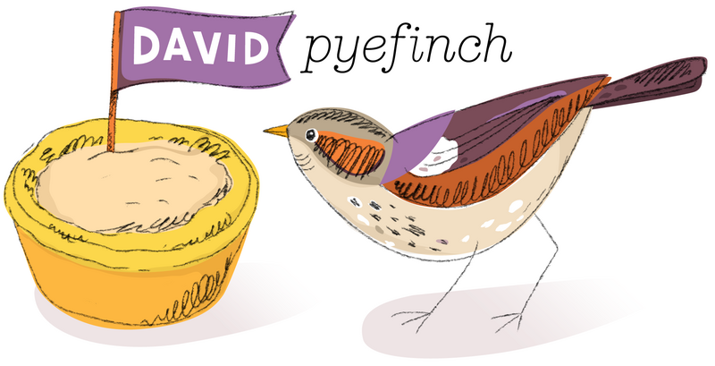 David Pyefinch logo