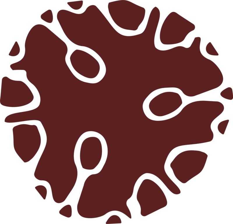 Adyson McCullough logo