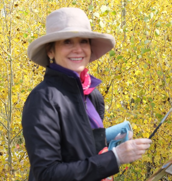 ann currey