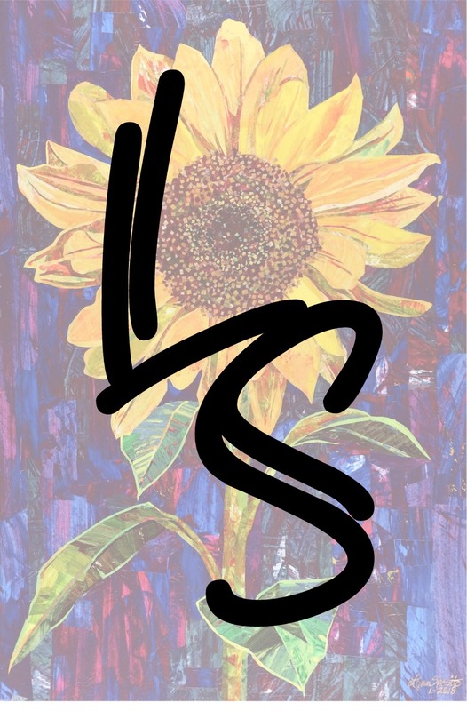 Lynn Sposito profile image