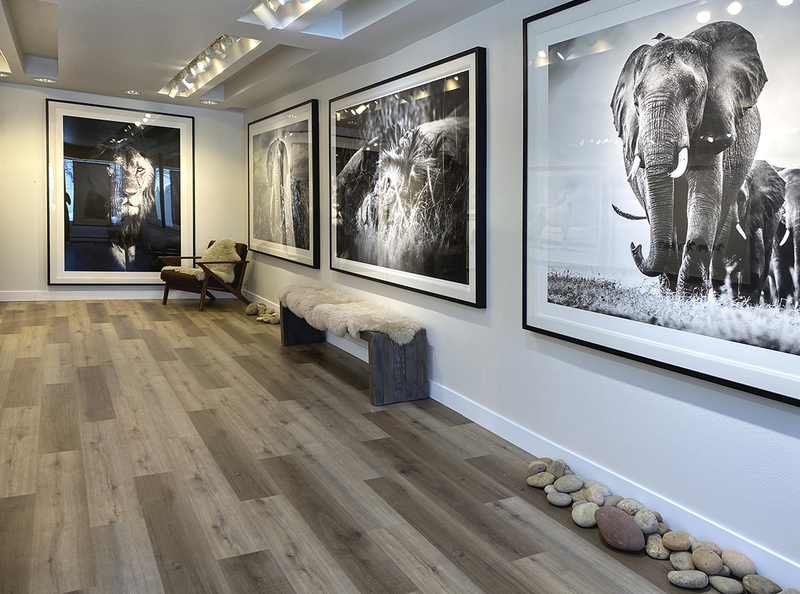 Guadalupe Laiz | Gallery Space profile image
