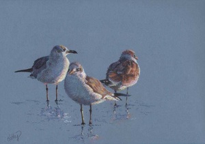 Kathy  Dolan, MPAC-EP,  SCA, NOAA