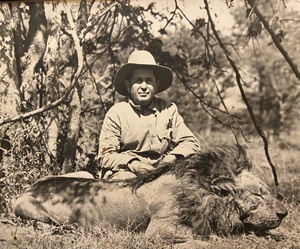 The Foster's Curator