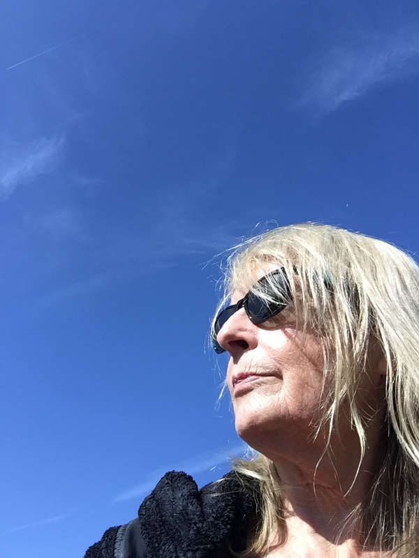 Sandra Longmore profile image