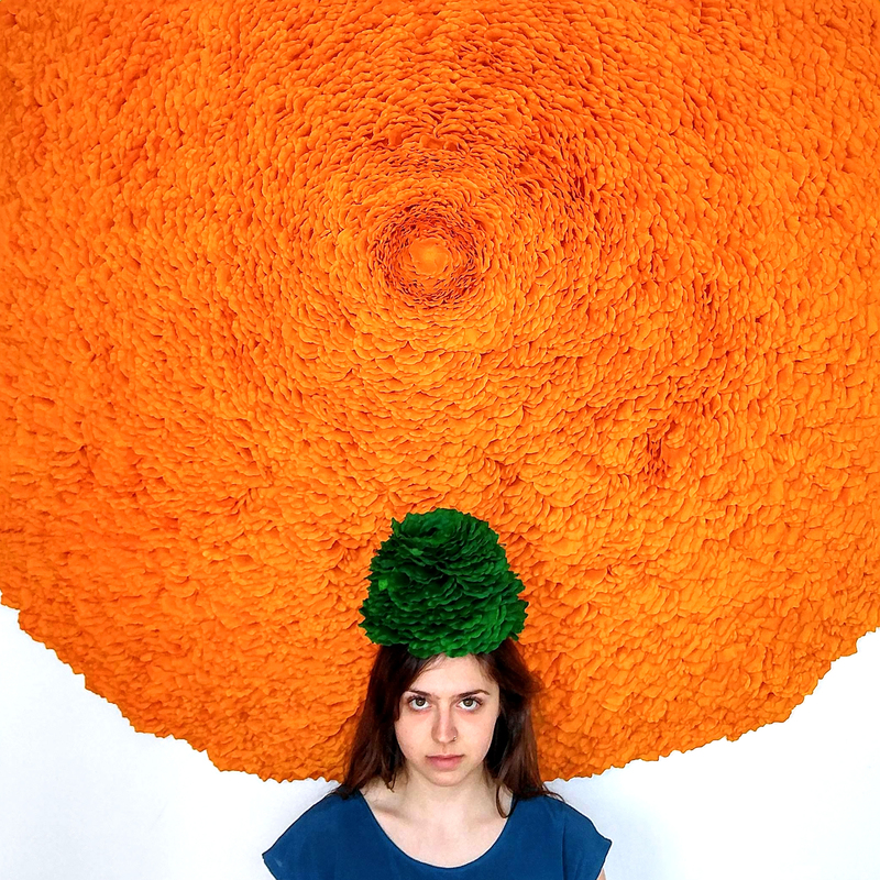 Molly Gambardella profile image