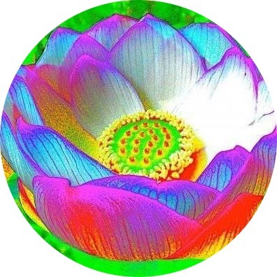 Norwood Creech profile image