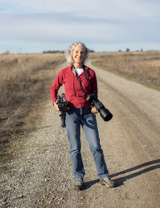 Michele McCormick profile image