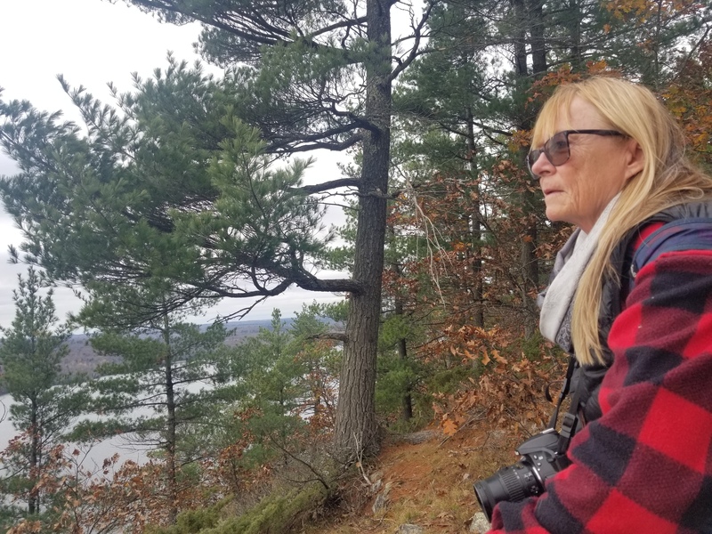 Gail Knecht profile image