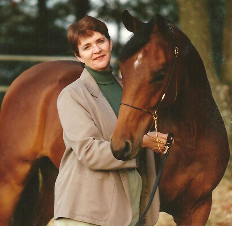 Debi Davis profile image
