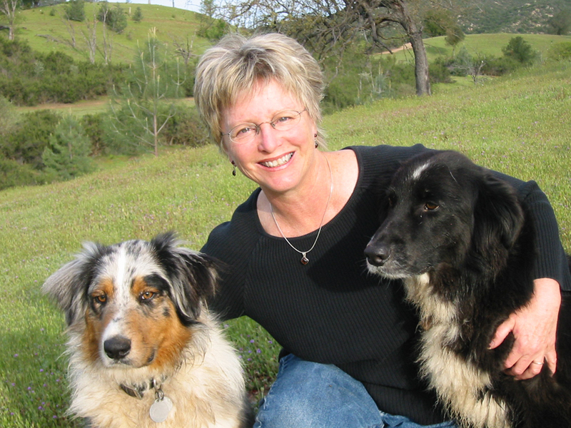 Susan F. Schafer profile image