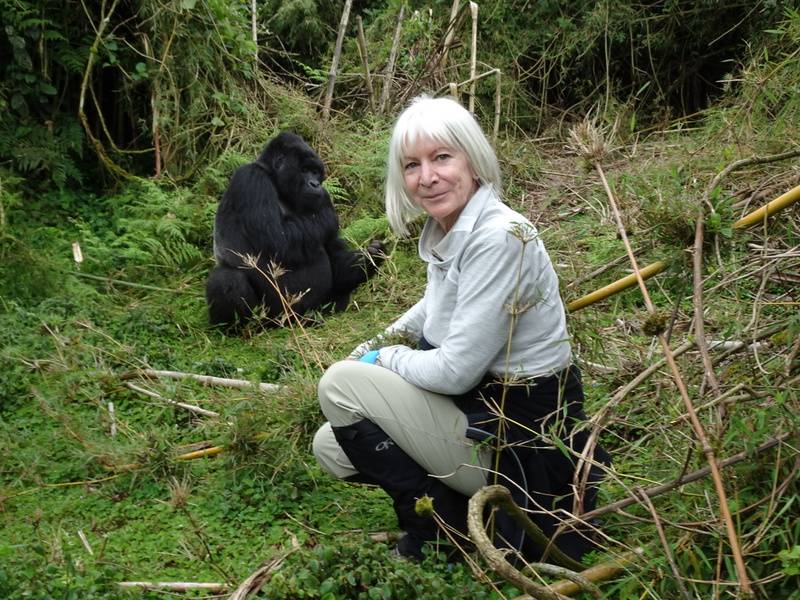 Carol Wright profile image