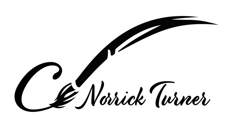 Cindy Norrick Turner logo