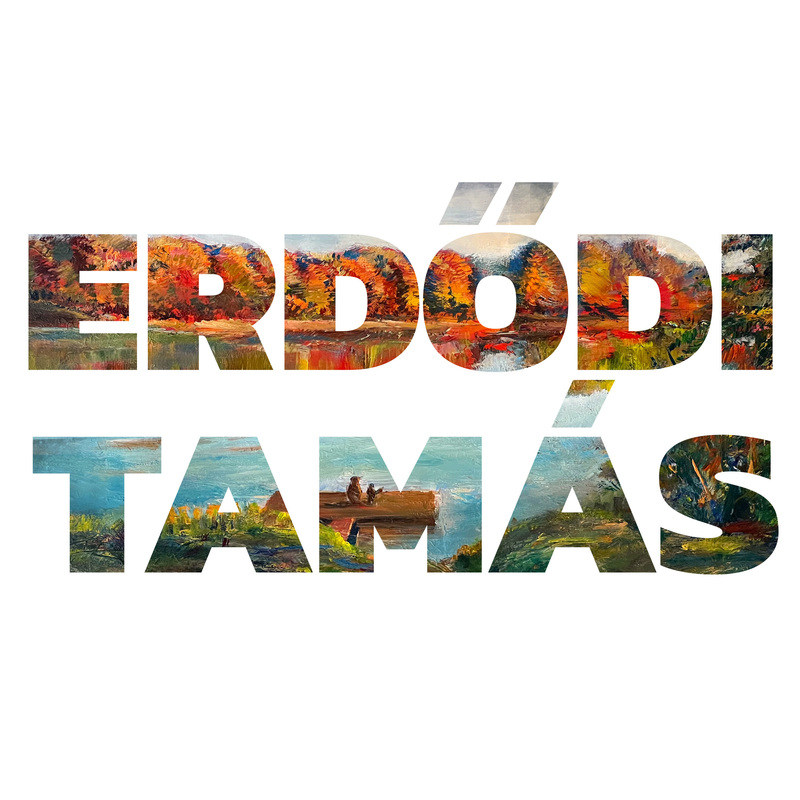 Tamas Erdodi profile image