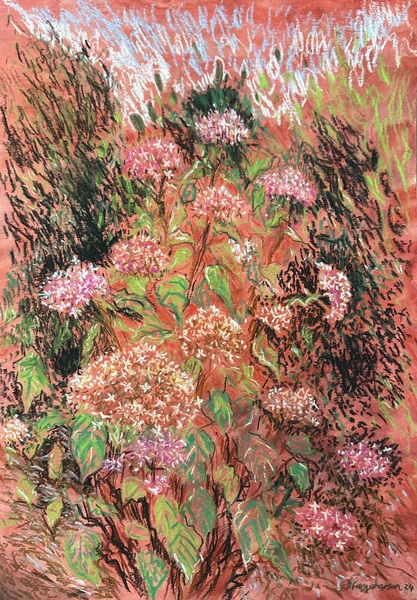 Debbie  Farquharson