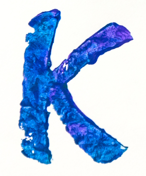 Kate Brogdon