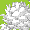 Nikki Thompson logo
