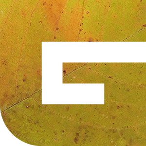 Jody Graff logo