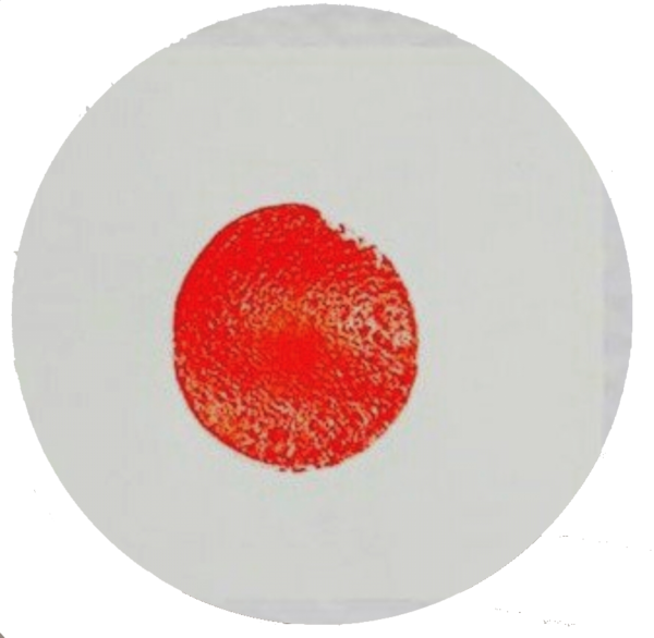 Promotora 26+1 logo