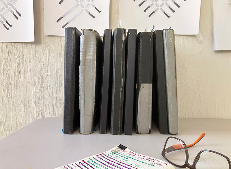 An artist's notebooks